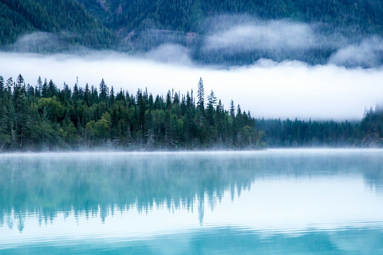 tai chi park summer illustrating The Summer Tai Chi Flow: A 10-Minute Cooling Practice for Ho