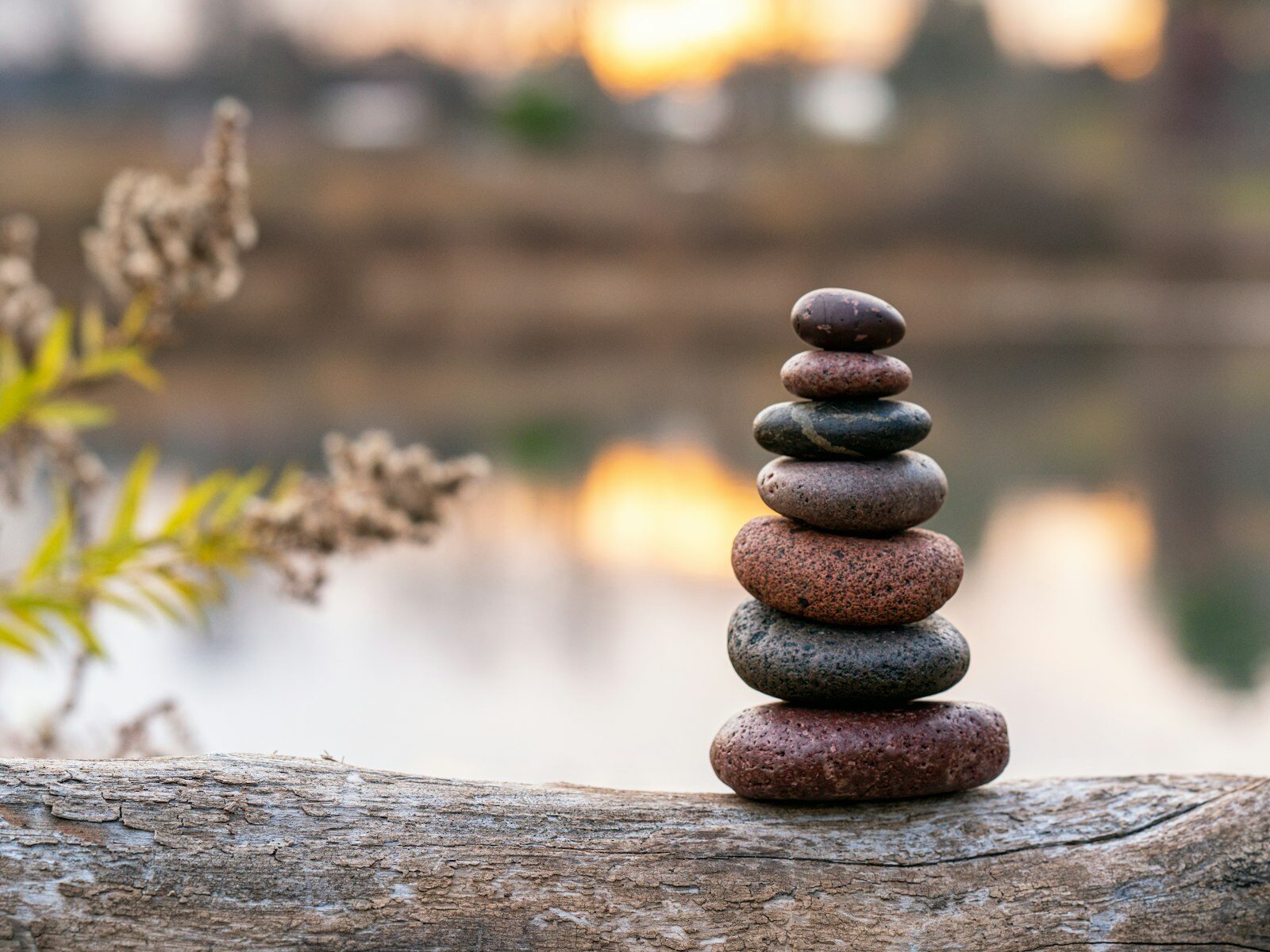 tai chi summer park illustrating Summer Tai Chi: The Gentle Cooling Flow You Can Do in 10 Min
