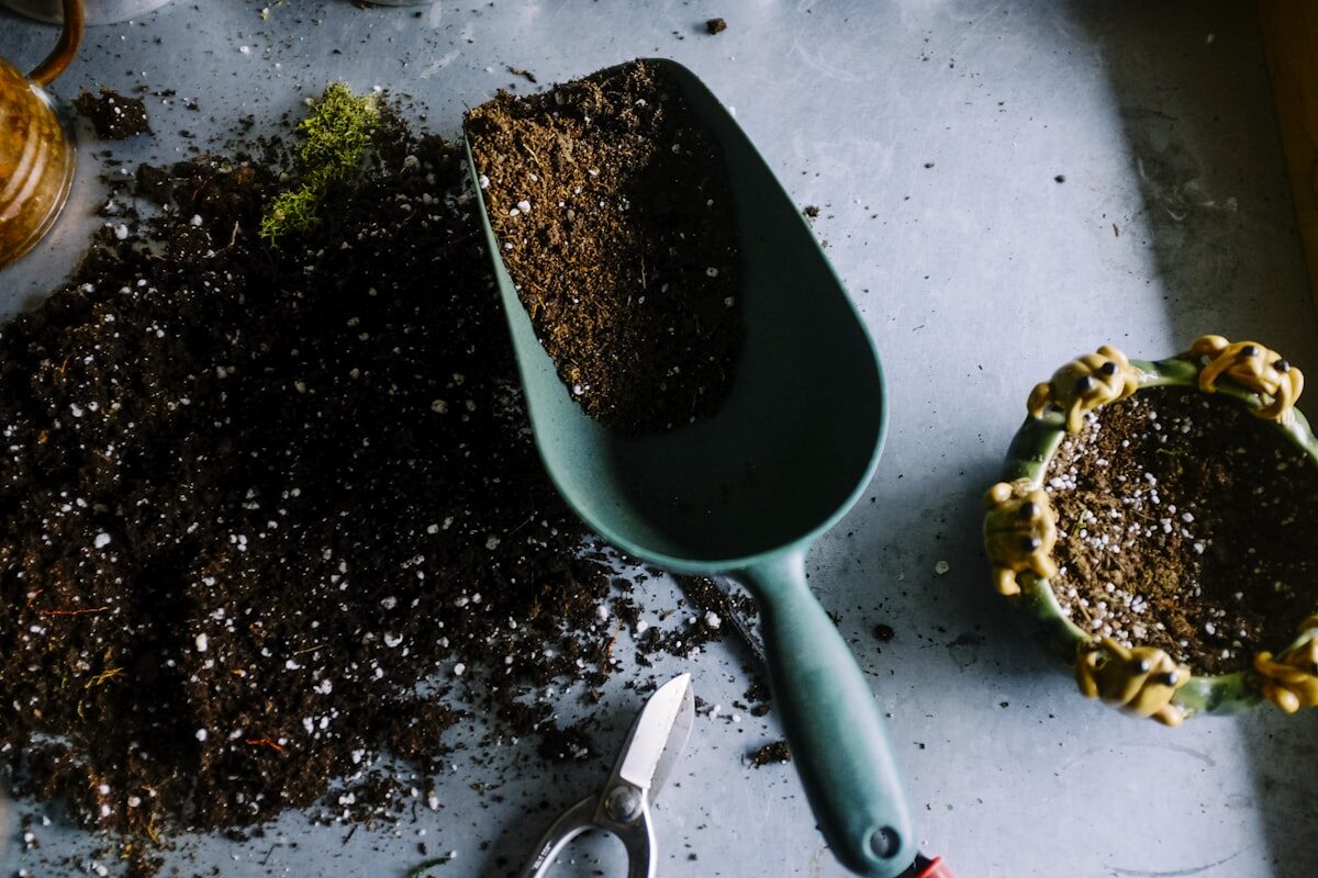 woman cooling neck illustrating The 5-Minute Summer Reset: A Cooling TCM Ritual for Anytime