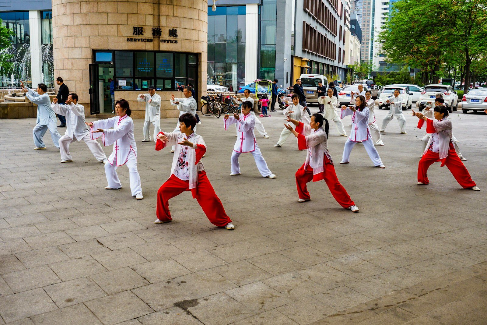 Tai chi in serene park setting