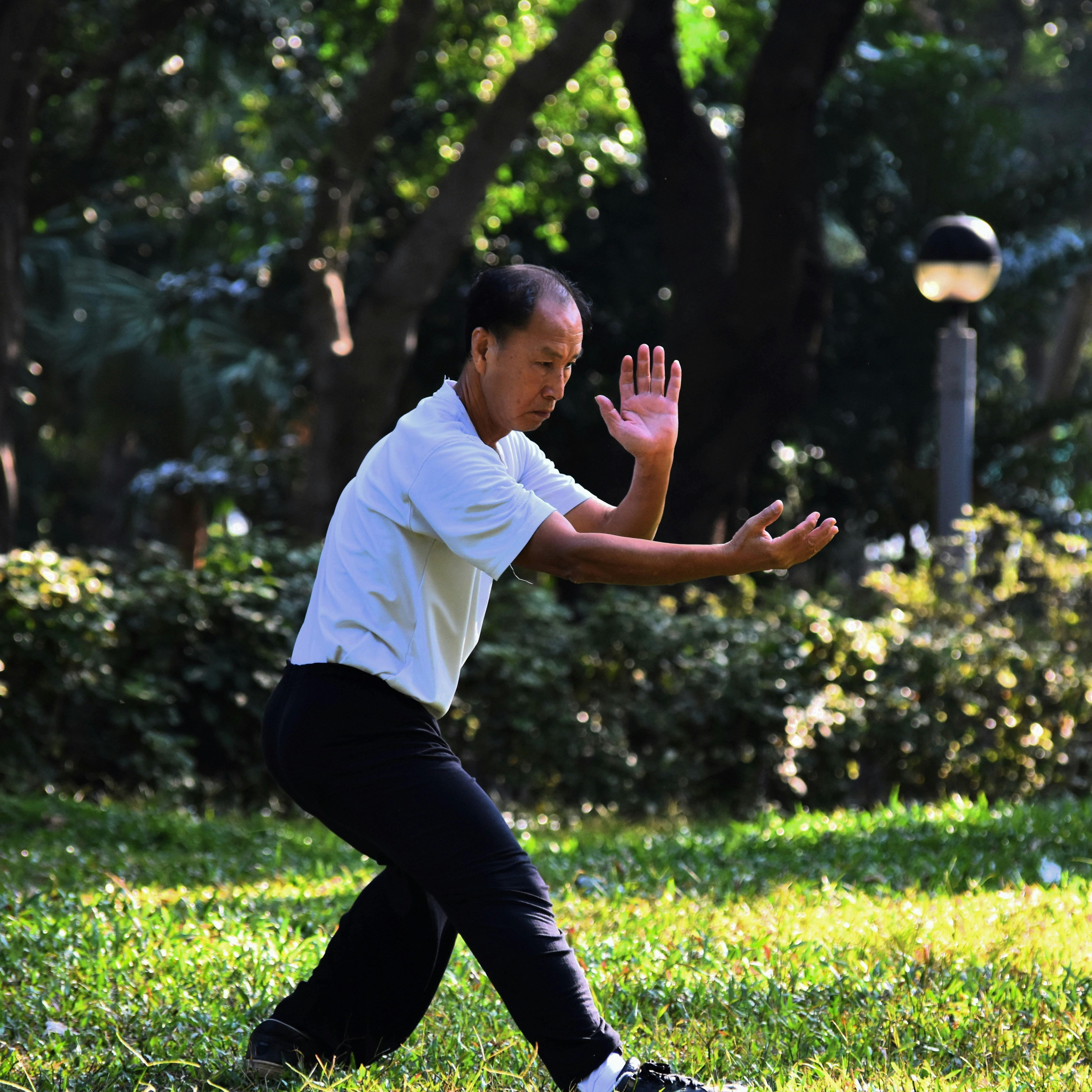 A person practicing tai chi outdoors, illustrating the flow of energy through the body's meridians