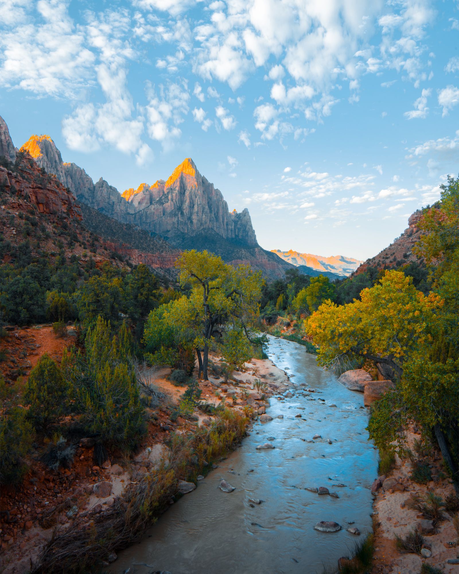 Wellness nature scene