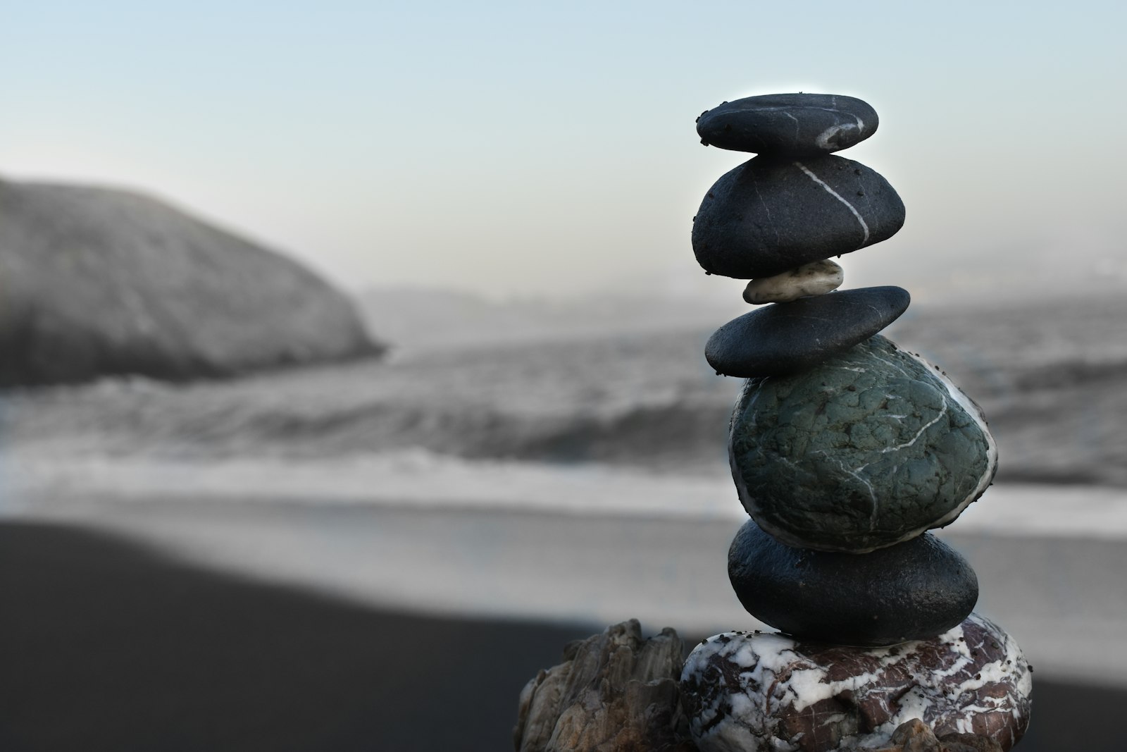 Wellness nature still life