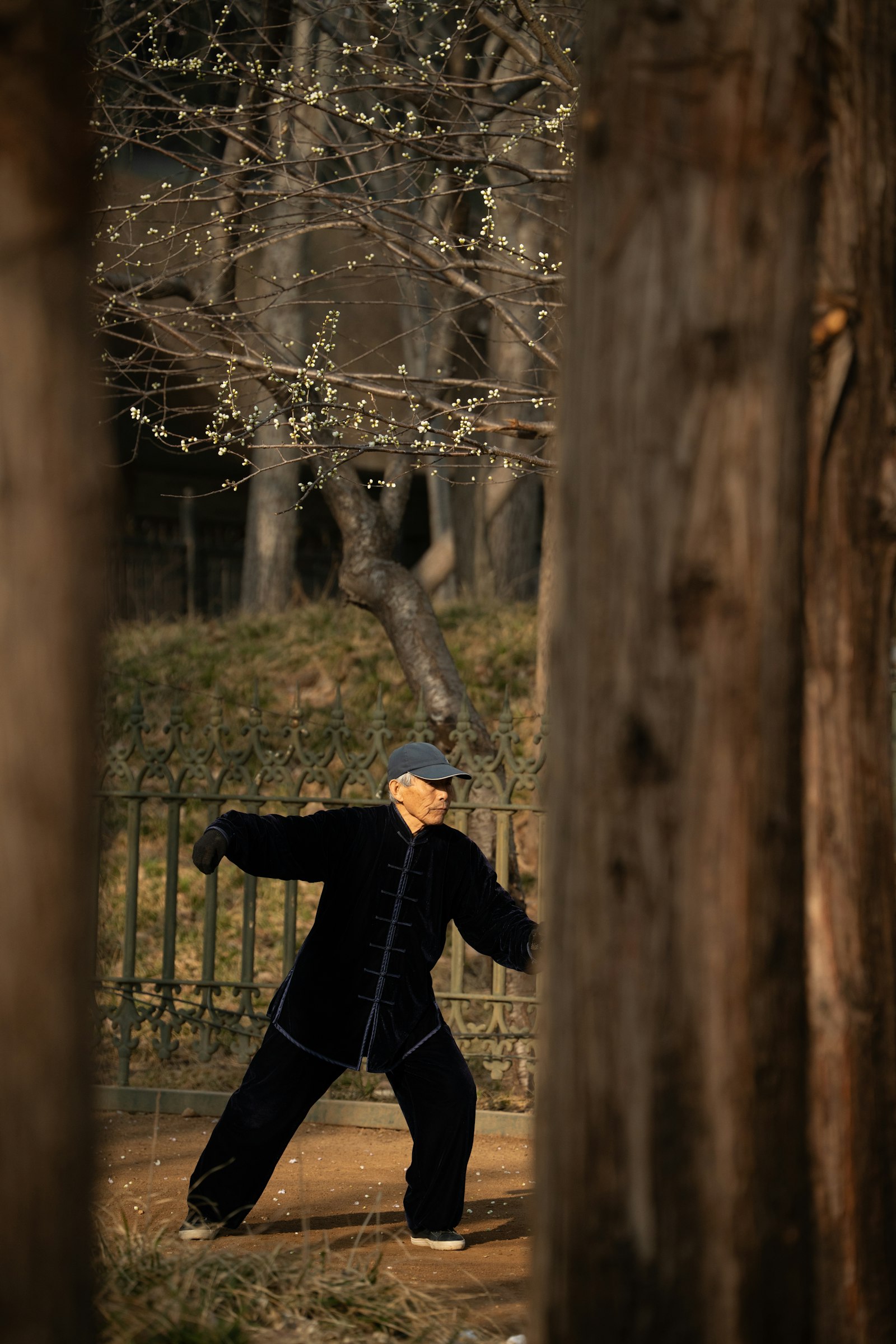 An elderly person practicing tai chi in a park, demonstrating lifelong wellness through gentle daily movement