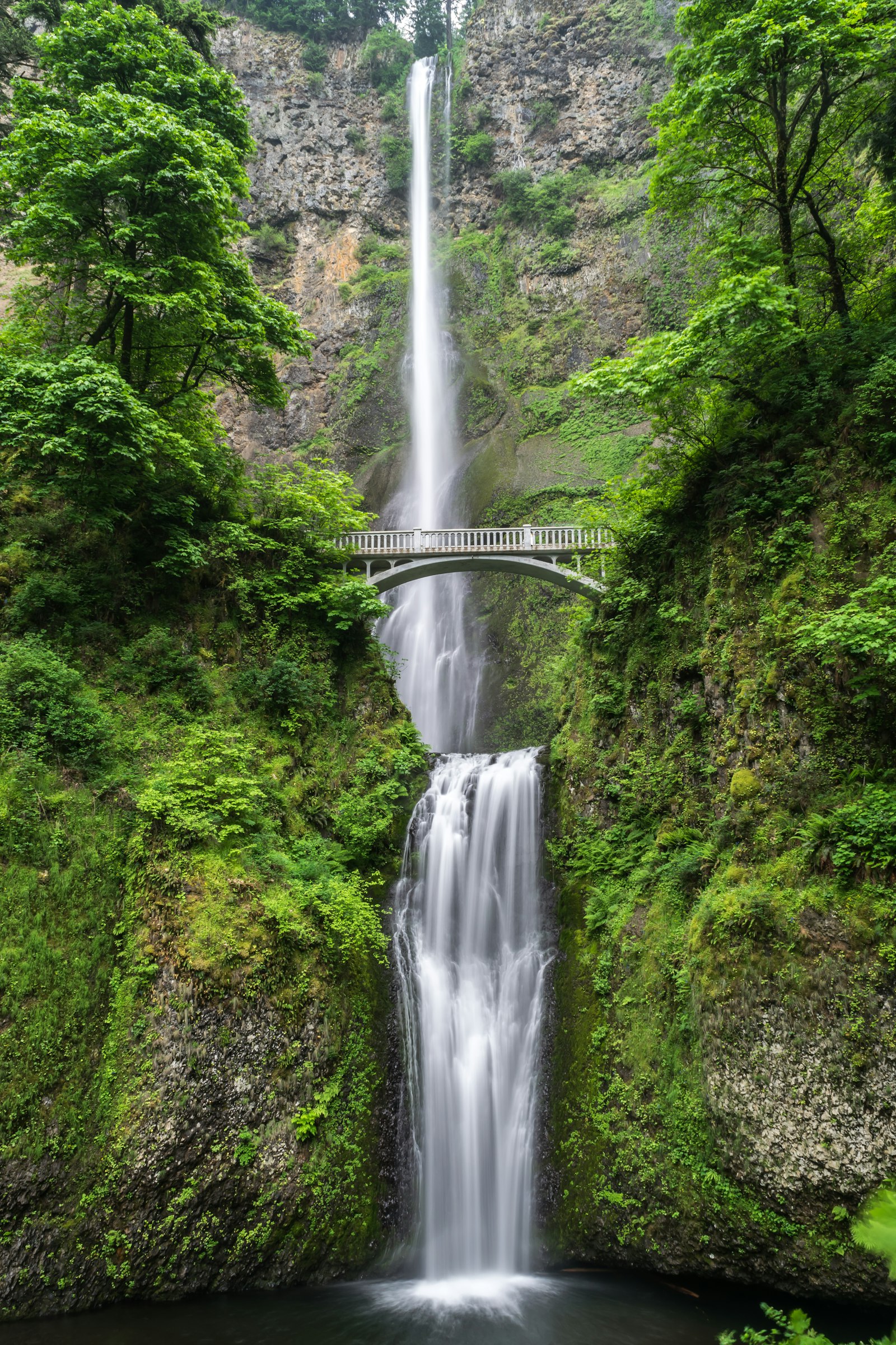 Wellness nature scene