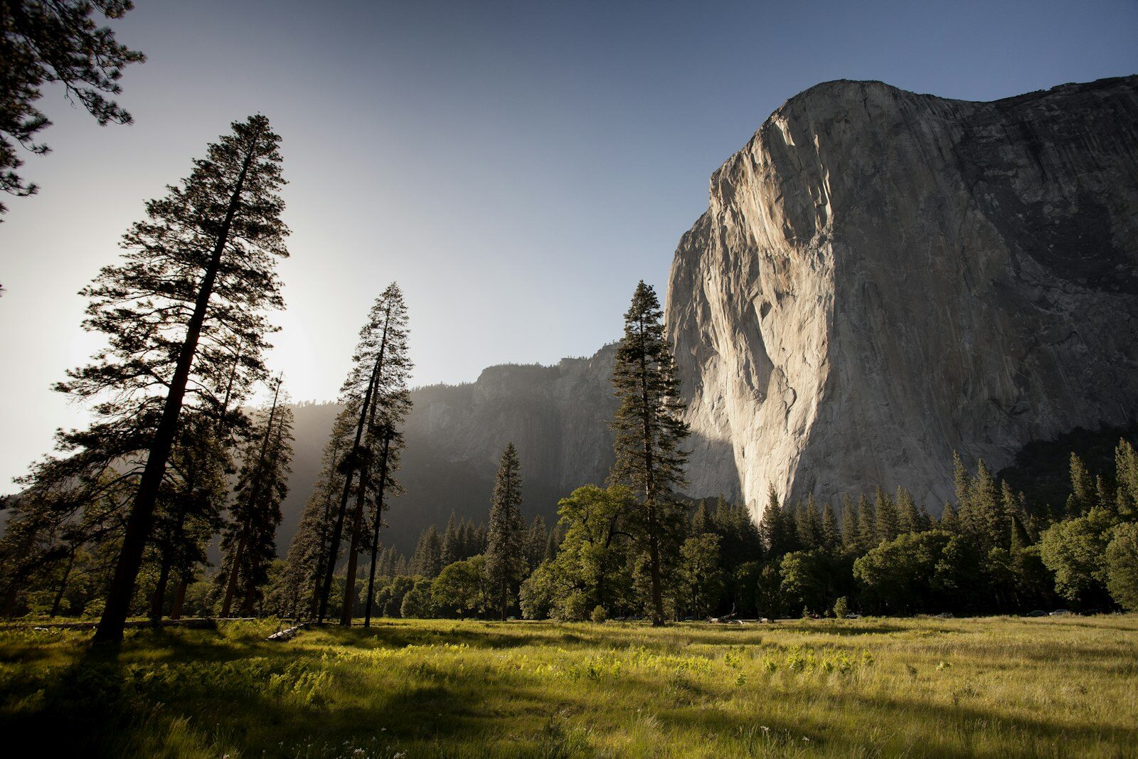 The Autumn Tongue: What Dryness, Color, and Cracks Reveal About Your Lungs