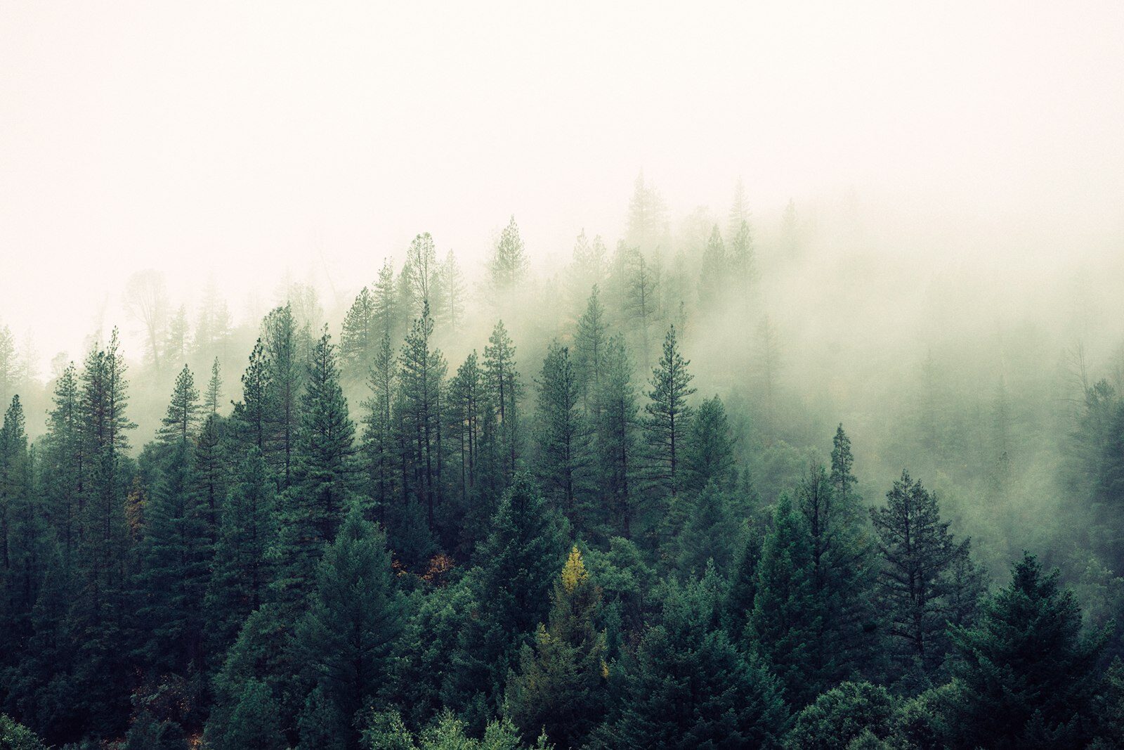 Winter’s Quiet Fire: Why TCM Says Grief Can Chill Your Body