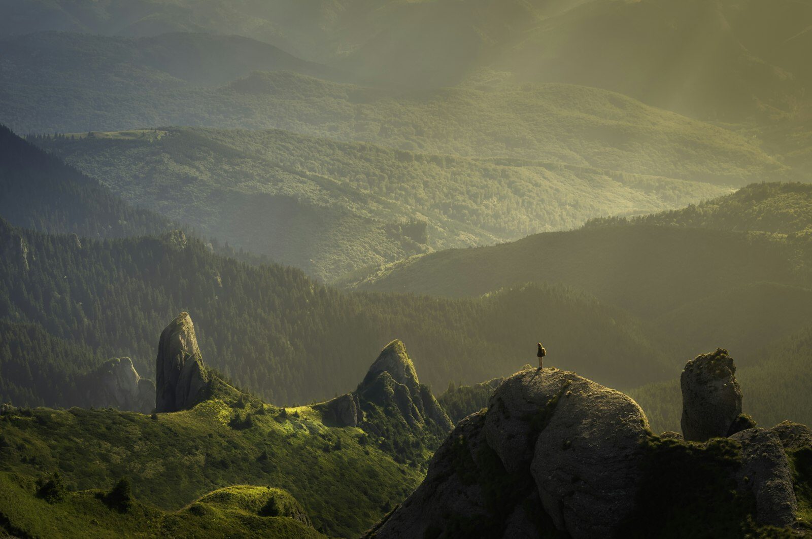 Autumn’s Golden Breath: The Lung-Nourishing Walk You Need Now