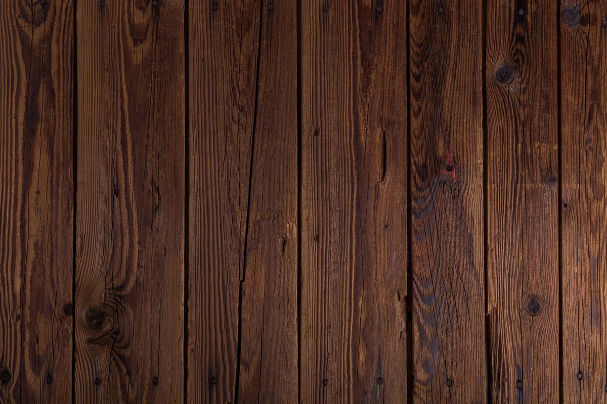 The Stillness of Winter: TCM’s Guide to Restorative Yin Practices
