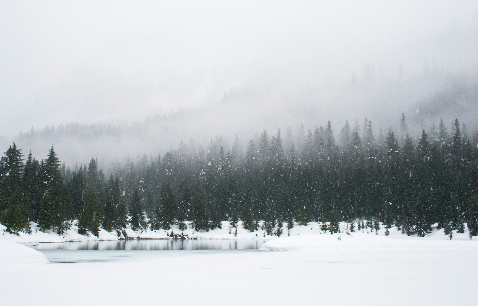 Winter Qigong: The ‘Storing Essence’ Flow to Nourish Kidney Qi