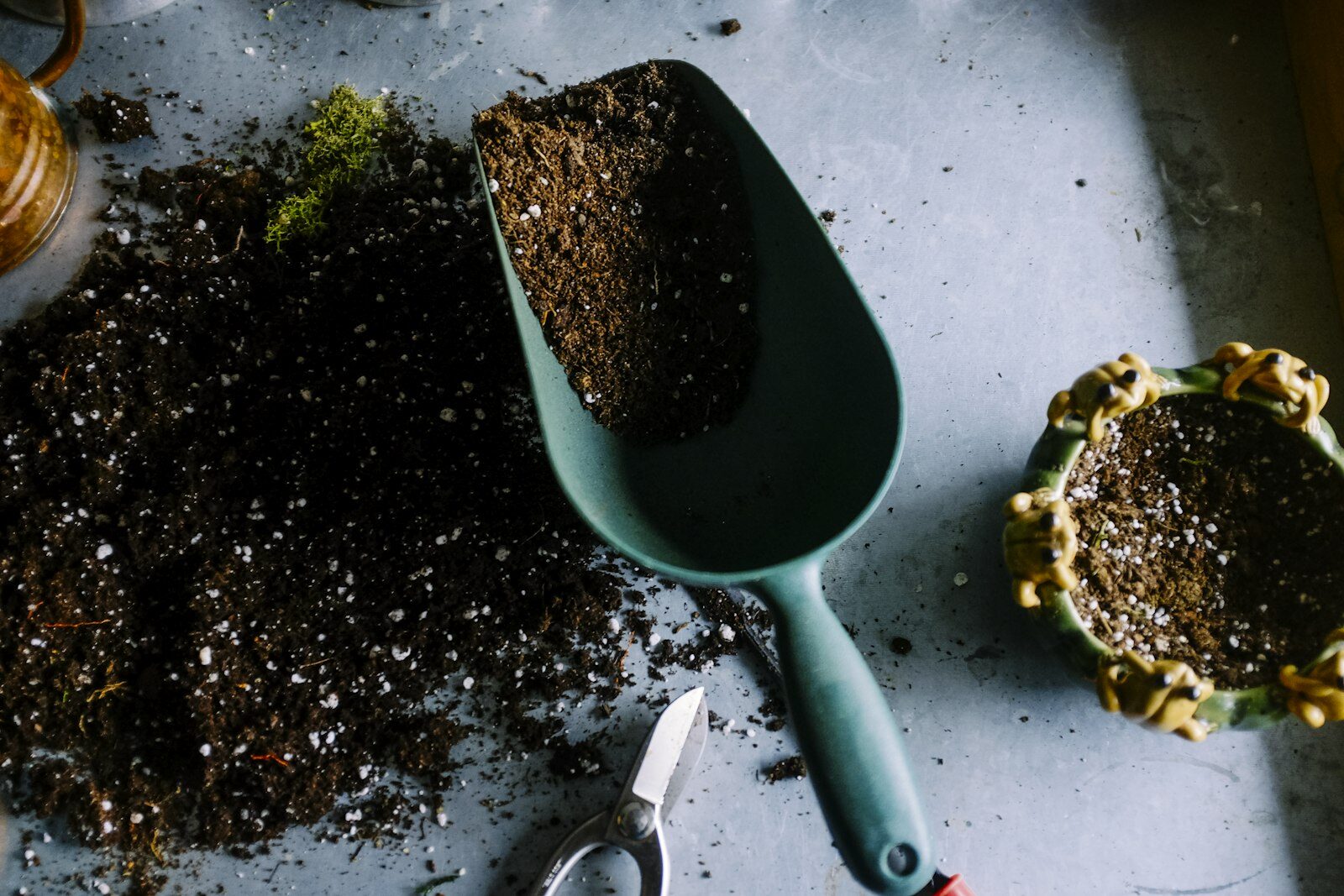 Spring Liver Qi Stagnation: The 7-Day ‘Unsticking’ Ritual with 5 Bitter Greens