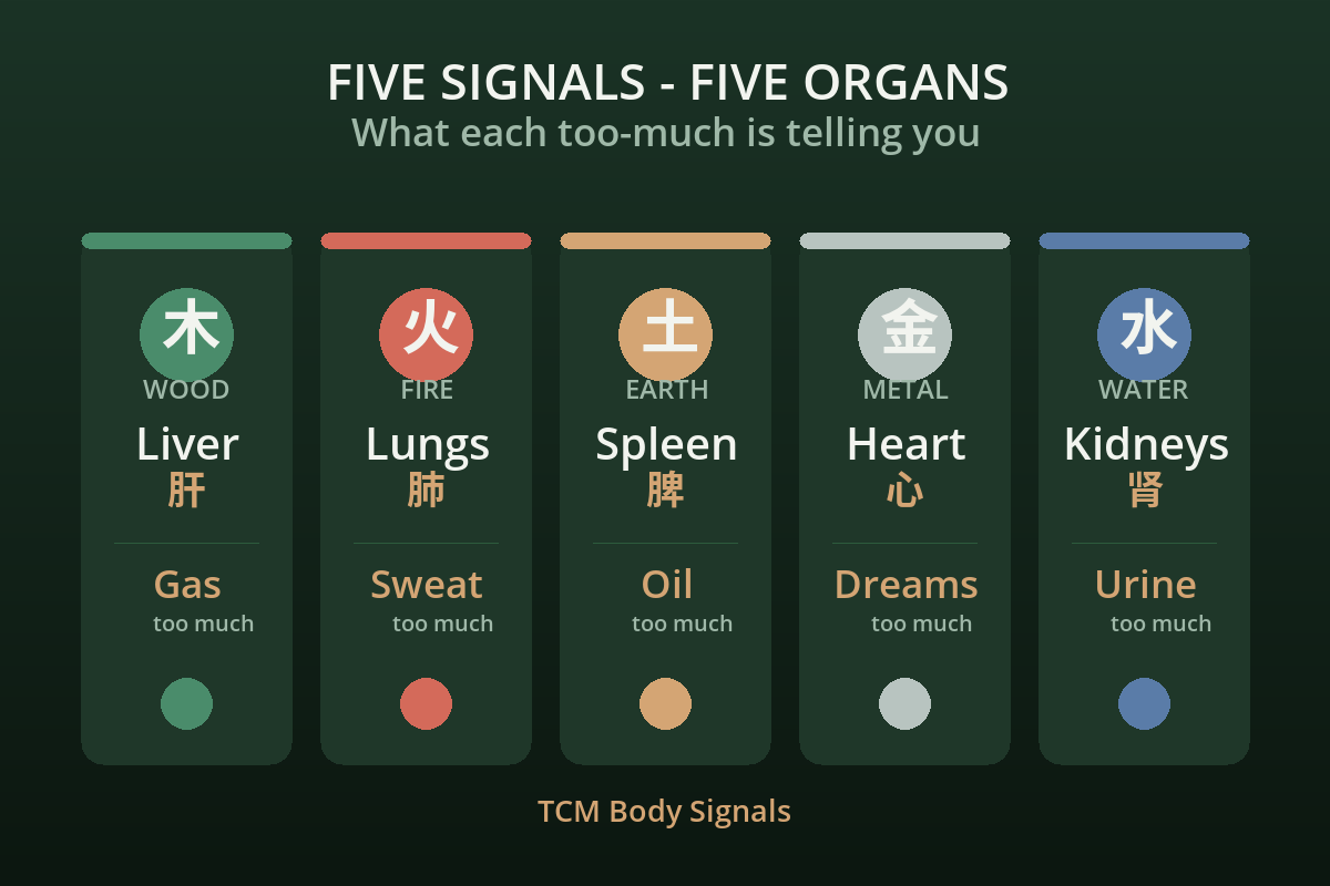 Traditional Chinese Medicine acupuncture, understanding organ health signals